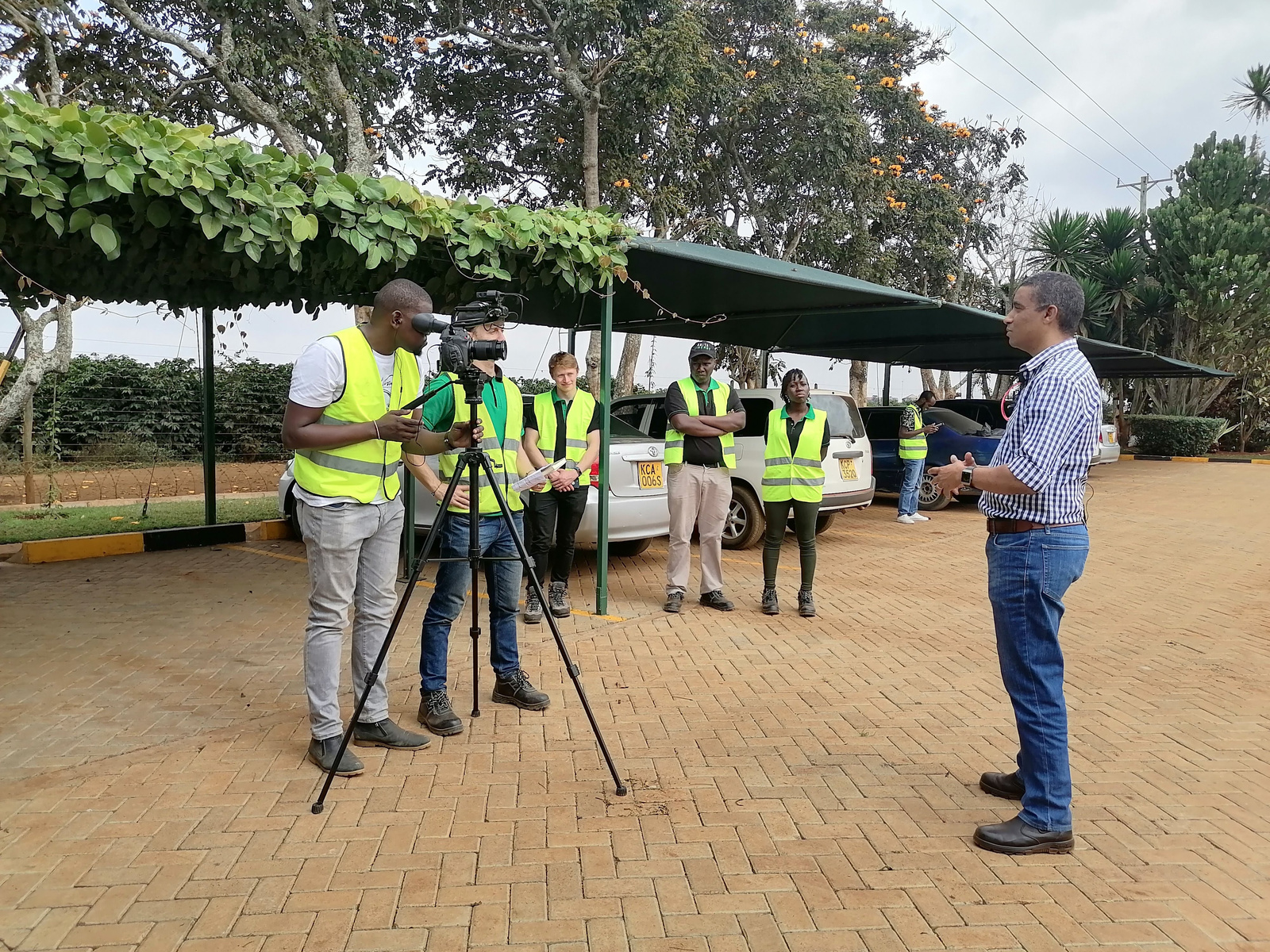 Documentary & Impact Videos